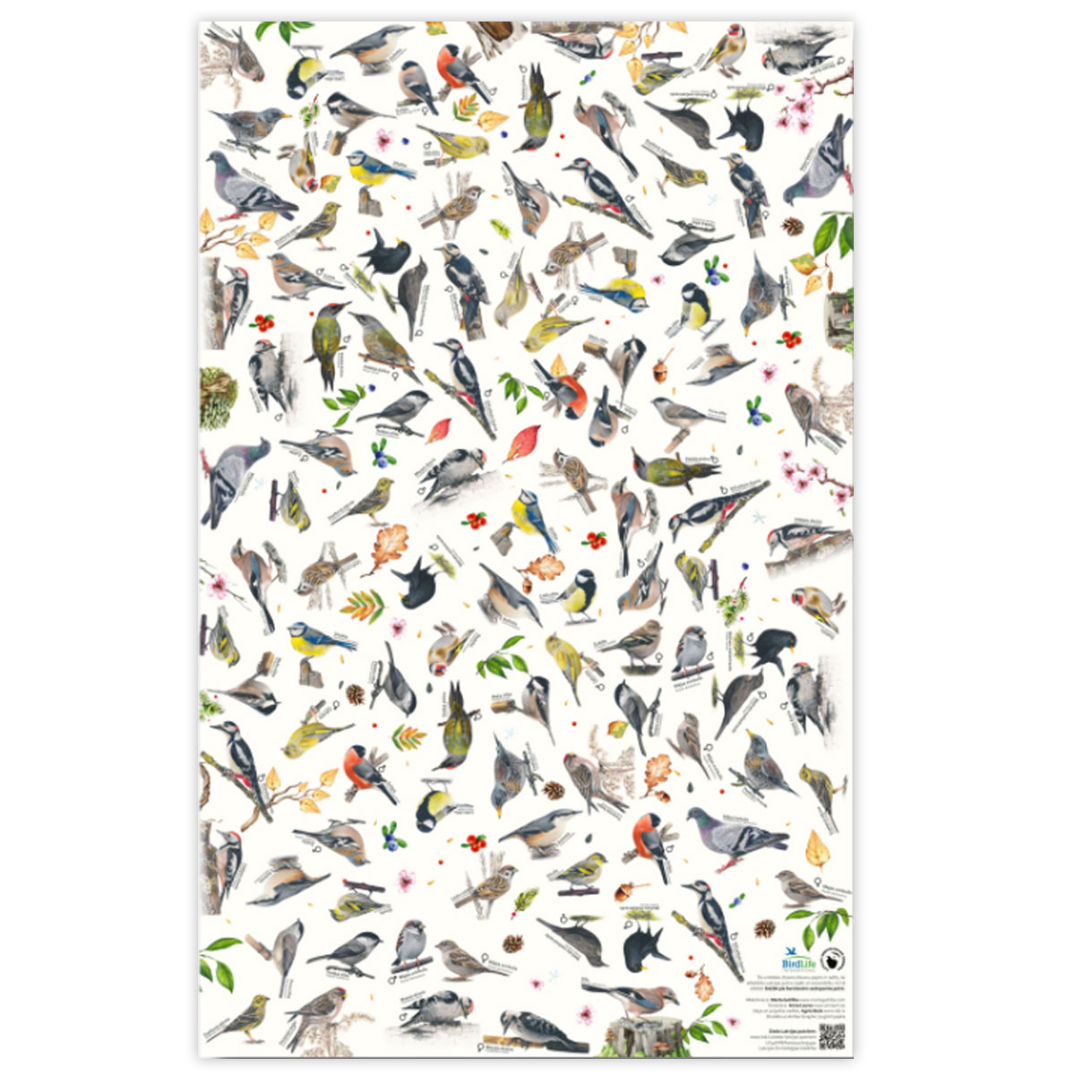 Davanu-iesainojamais-papirs-Putni,-loksne,-55.8-cm-x-88.6-cm