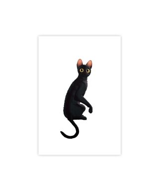 Kartīte, Greeting card Flow Cat | Official award-winning movie Flow merchandise. Limited edition Flow merch now ready for purchse. 