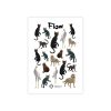 Tetovējumi, Temporary tattoos Flow | Official award-winning movie Flow merchandise. Limited edition Flow merch now ready for purchse.