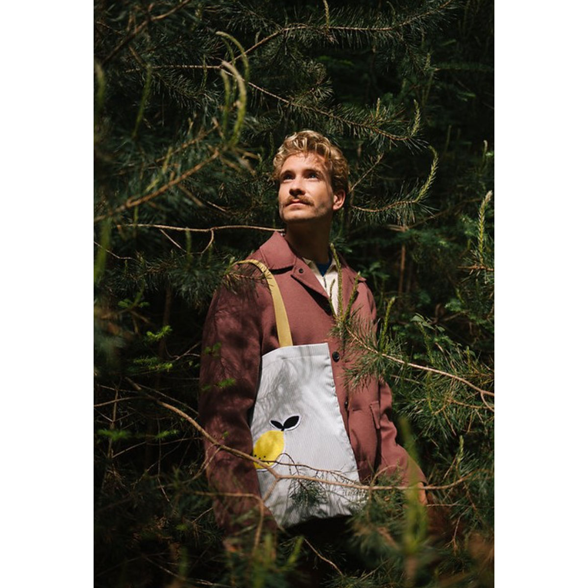 2_Kokvilnas-soma---maiss-Lemon,-Meet-me-in-the-meadows,-Blue-Bird