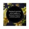 4_Gramata-Moon-Garden-A-Guide-to-Creating-an-Evening-Oasis