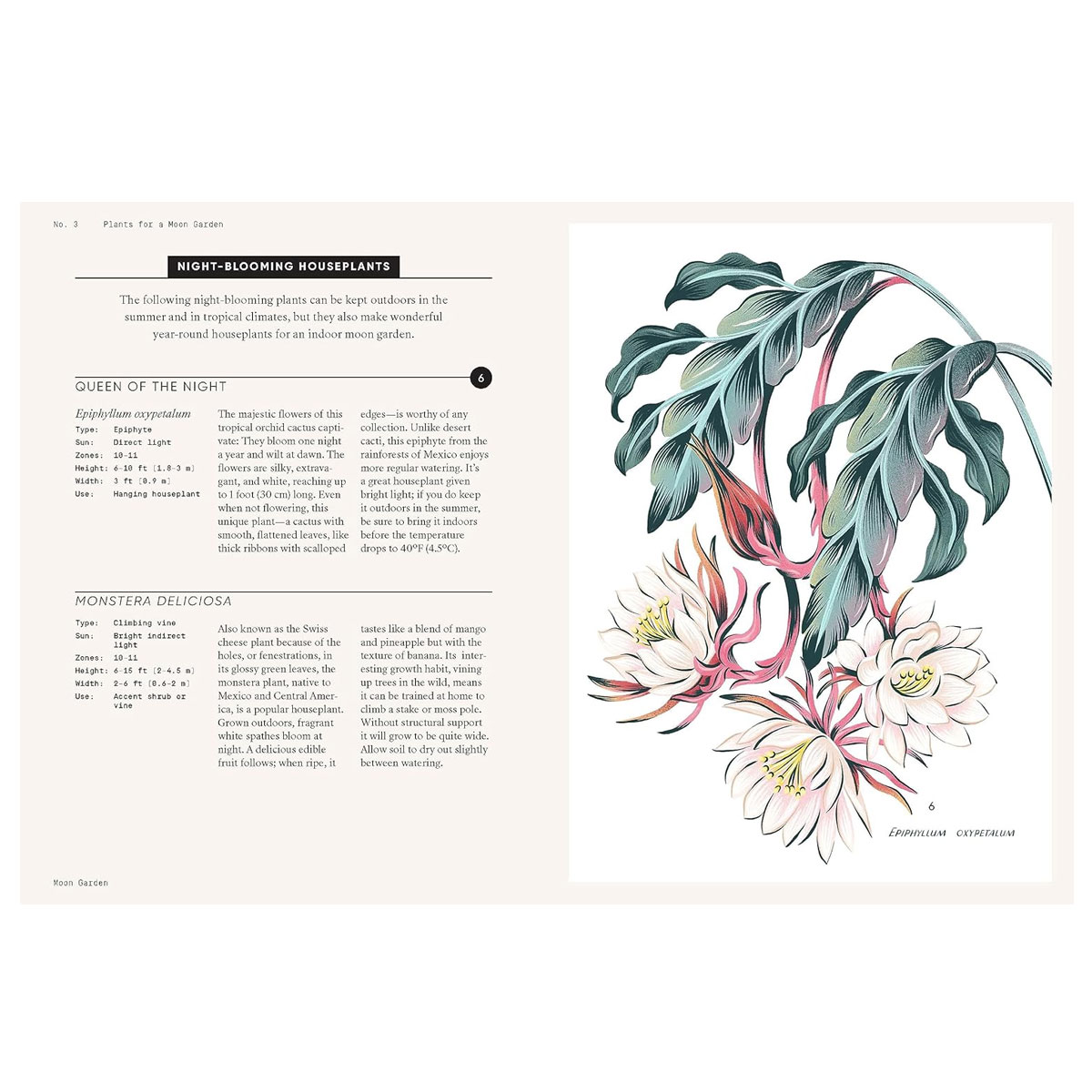 7_Gramata-Moon-Garden-A-Guide-to-Creating-an-Evening-Oasis