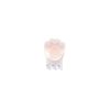 Matu-klipsis-Cat-Paw,-Small,-Coucou-Suzette