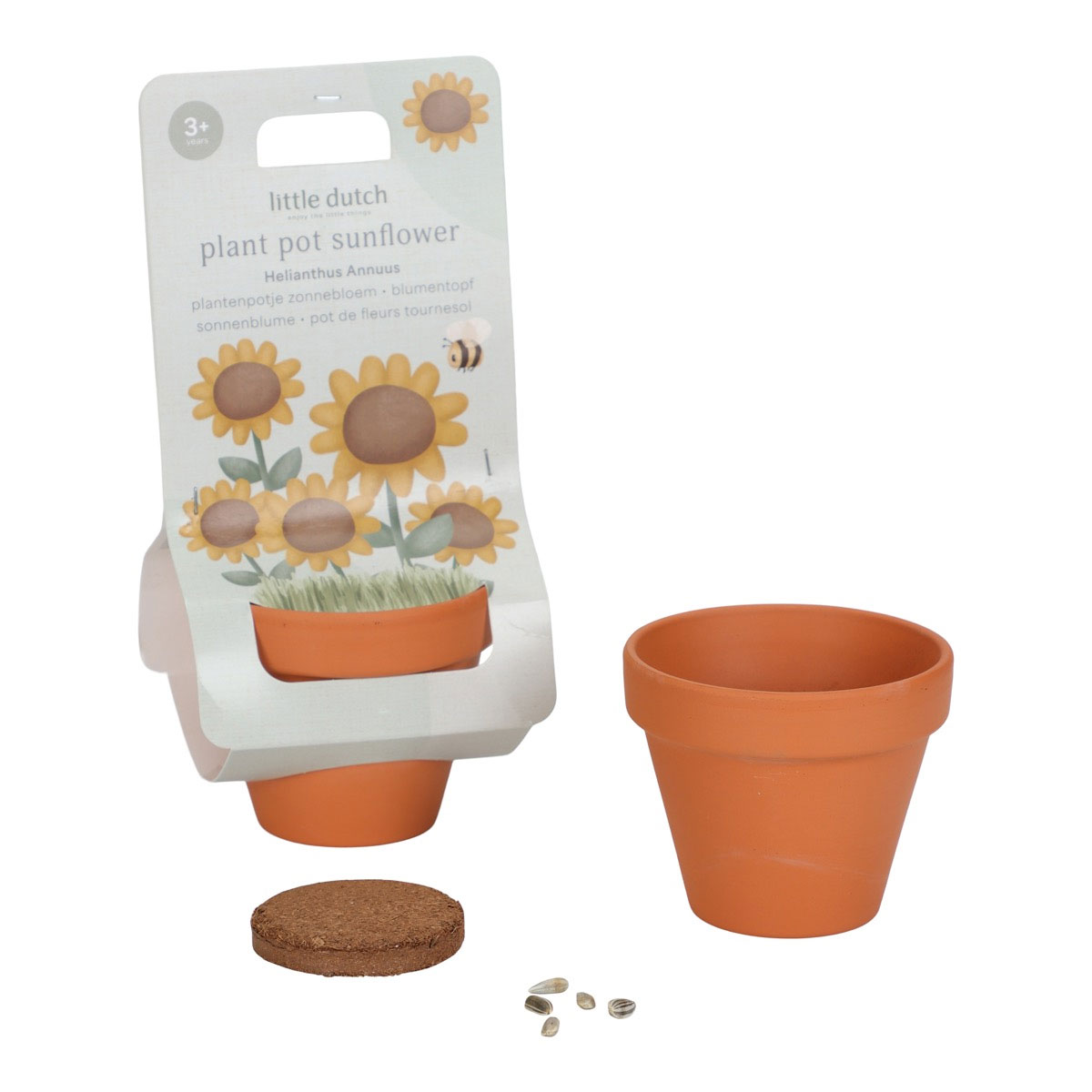 Pukupods-ar-seklam-Sunflower,-Little-Dutch
