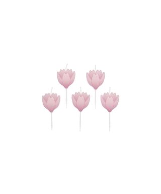 Sveces kūkai Crocus Pink, 5 gab.