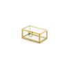 Stikla-kaste-Glass-box,-gold