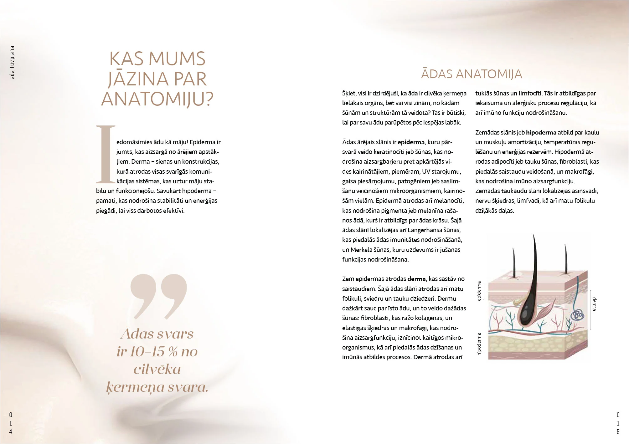 Grāmata Tavas ādas stāsts - Visaptverošs ceļvedis ādas kopšanā