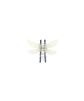 Matu klipsis Dragonfly, Large, Coucou Suzette
