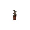 Rotalu-augs-Flower-pot-with-plant,-Maileg