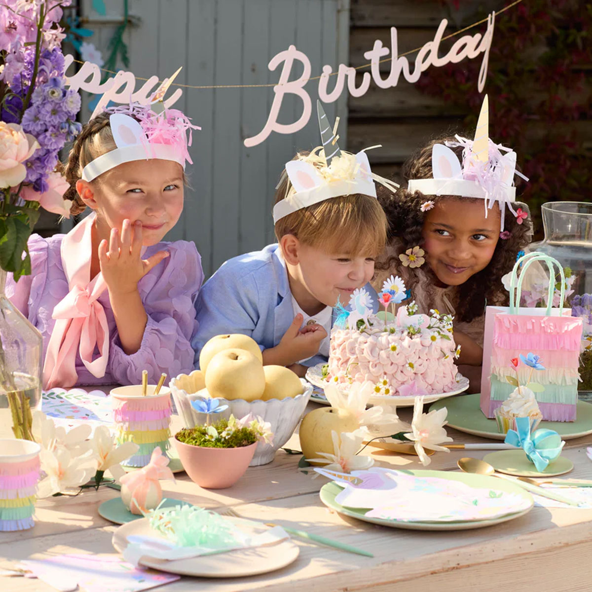 2_Davanu-maisins-Meadow-Unicorns,-1-gab