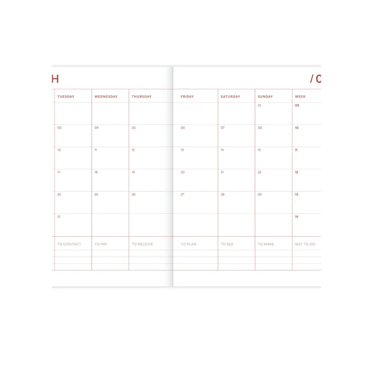 4_Akademiskais-planotajs-Coral-Flowers,-School,-2025_2026,-A--Journal