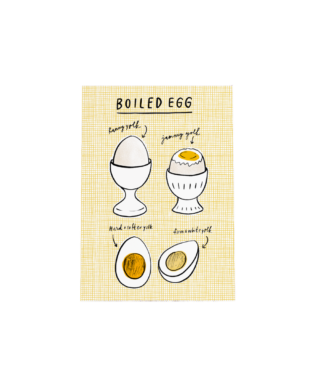 Piezīmju grāmata Boiled Egg, Paragraph