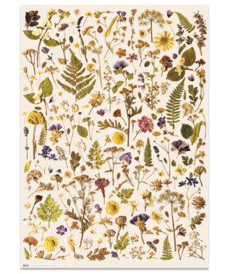 Dāvanu iesaiņojamais papīrs Herbarium, Cream, Manilla