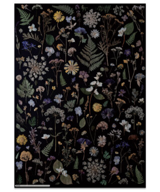 Dāvanu iesaiņojamais papīrs Herbarium, Black, Manilla