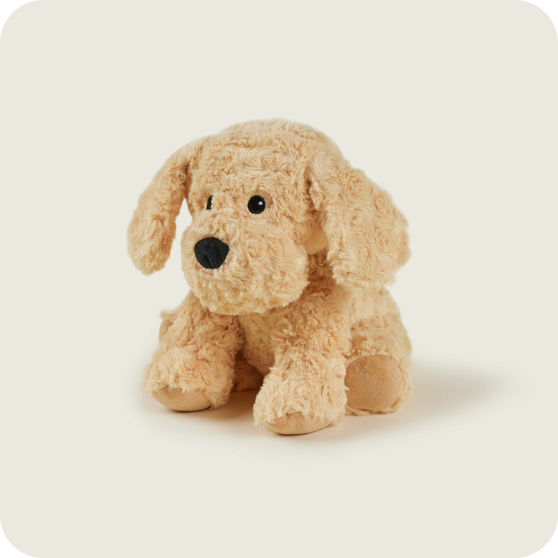 miksta-rotallieta-suns-cockapoo-warmies-1
