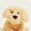miksta-rotallieta-suns-cockapoo-warmies-3