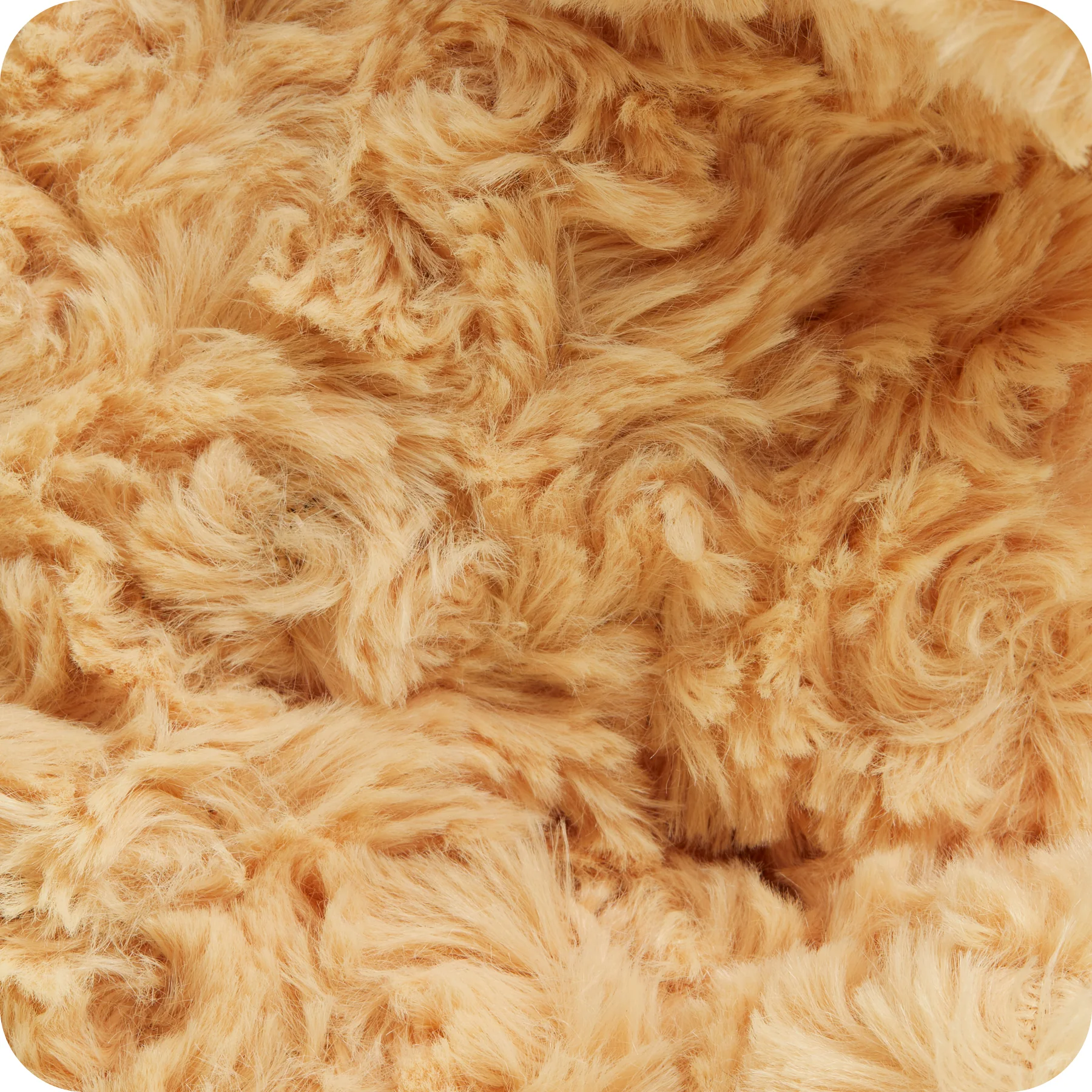 miksta-rotallieta-suns-cockapoo-warmies-4