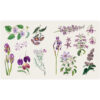 2_Gramata-The-Sticker-Treasury-of-Blooms-and-Butterflies Uzlīmju grāmata The Sticker Treasury of Butterflies and Blooms