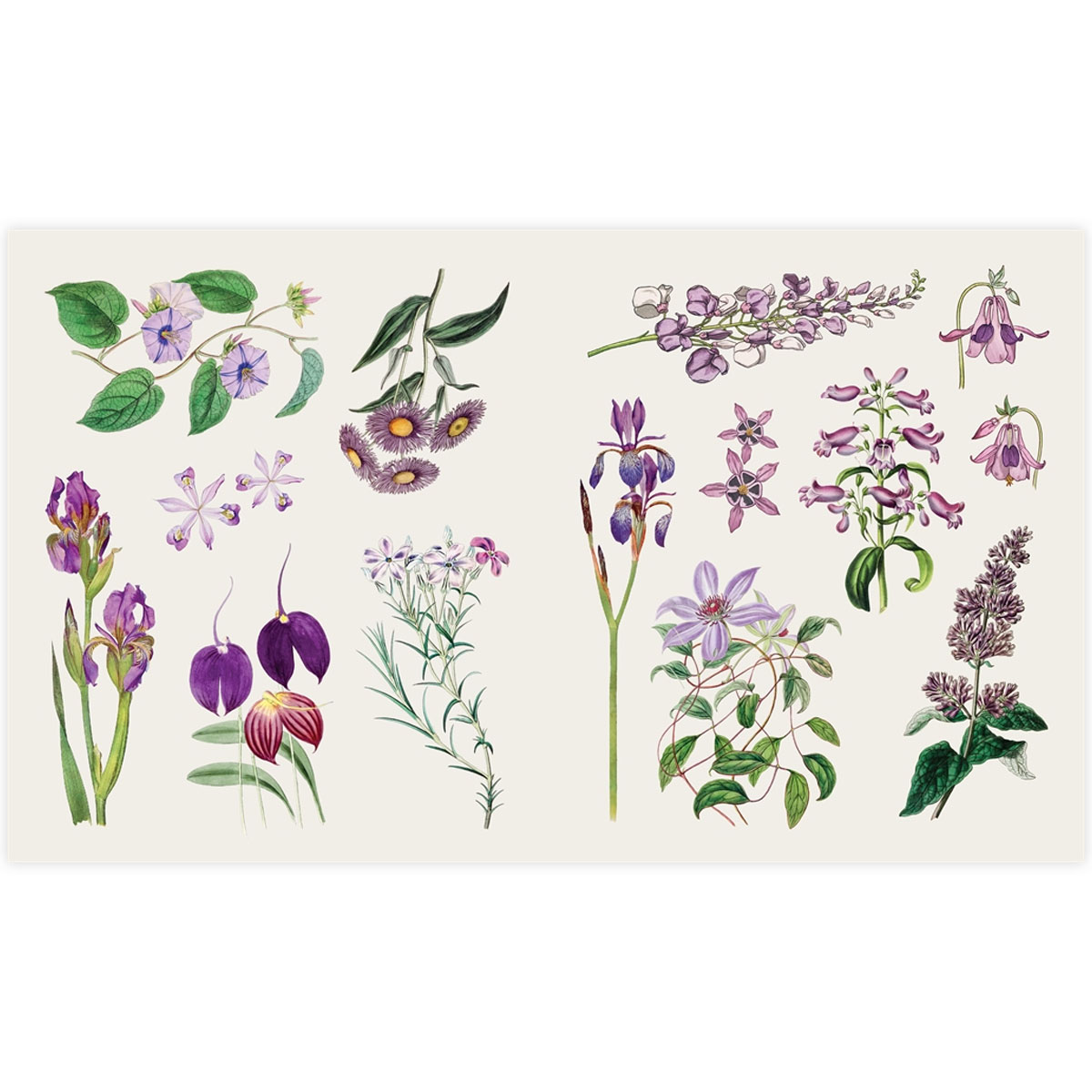 2_Gramata-The-Sticker-Treasury-of-Blooms-and-Butterflies Uzlīmju grāmata The Sticker Treasury of Butterflies and Blooms