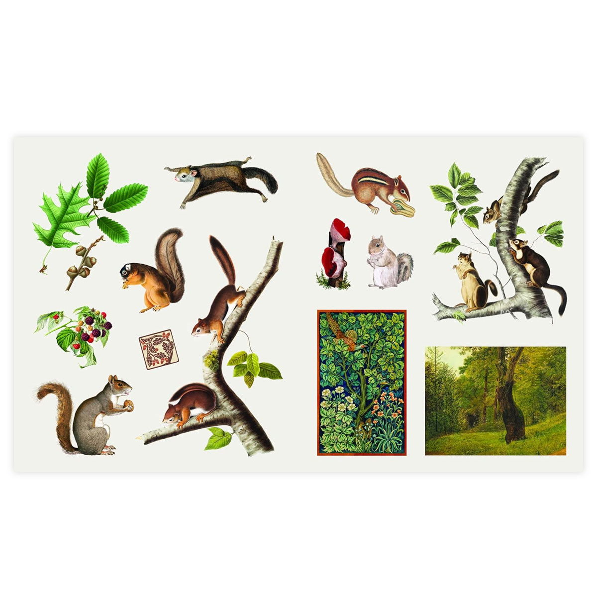 2_Gramata-The-Sticker-Treasury-of-Woodland-Adventures Uzlīmju grāmata The Sticker Treasury of Woodland Adventures