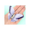 2_Matu-klipsis-Purple-Butterfly,-Coucou-Suzette