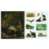 4_Gramata-The-Sticker-Treasury-of-Woodland-Adventures Uzlīmju grāmata The Sticker Treasury of Woodland Adventures