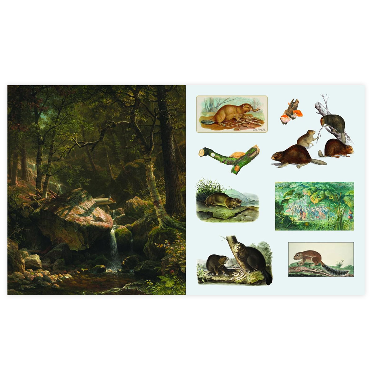 4_Gramata-The-Sticker-Treasury-of-Woodland-Adventures Uzlīmju grāmata The Sticker Treasury of Woodland Adventures