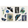 5_Gramata-The-Sticker-Treasury-of-Blooms-and-Butterflies Uzlīmju grāmata The Sticker Treasury of Butterflies and Blooms