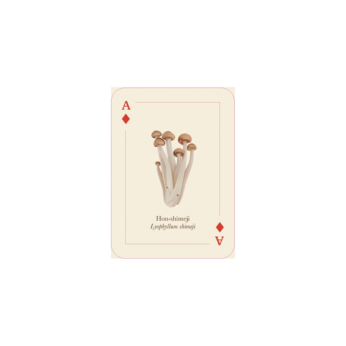 5_Spelu-karsu-kava-Mushrooms-of-the-Wild,-Smith-Street-Gift