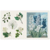 6_Gramata-The-Sticker-Treasury-of-Blooms-and-Butterflies Uzlīmju grāmata The Sticker Treasury of Butterflies and Blooms