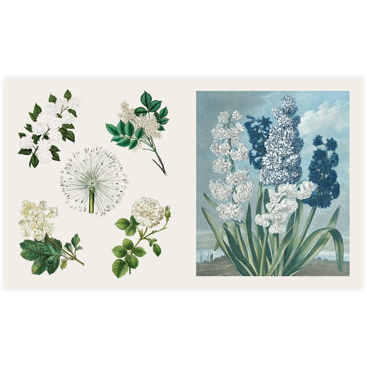 6_Gramata-The-Sticker-Treasury-of-Blooms-and-Butterflies Uzlīmju grāmata The Sticker Treasury of Butterflies and Blooms