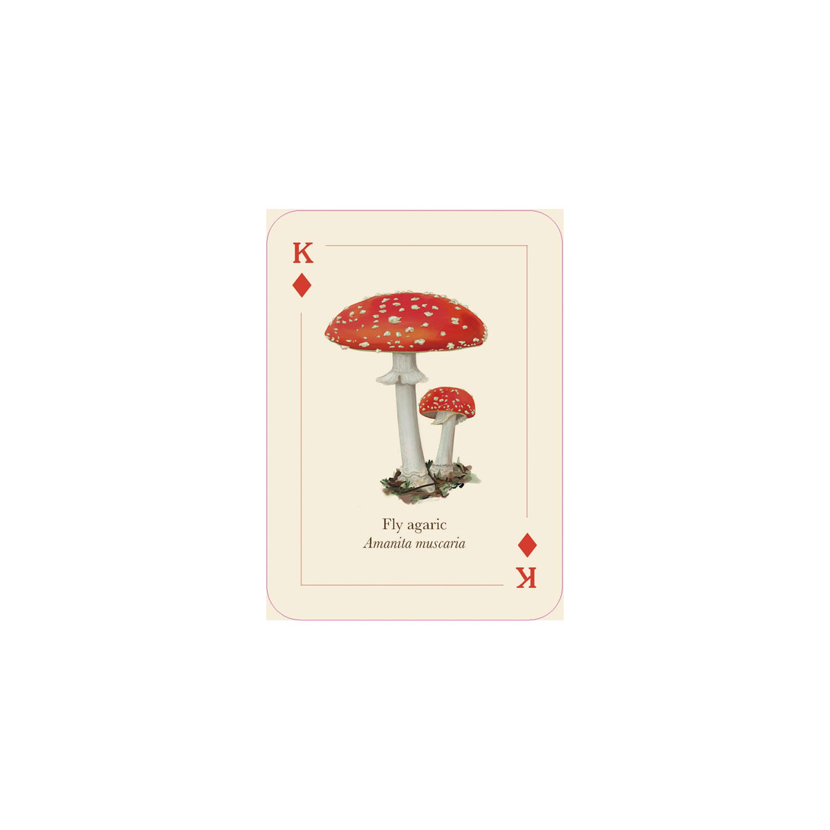 6_Spelu-karsu-kava-Mushrooms-of-the-Wild,-Smith-Street-Gift