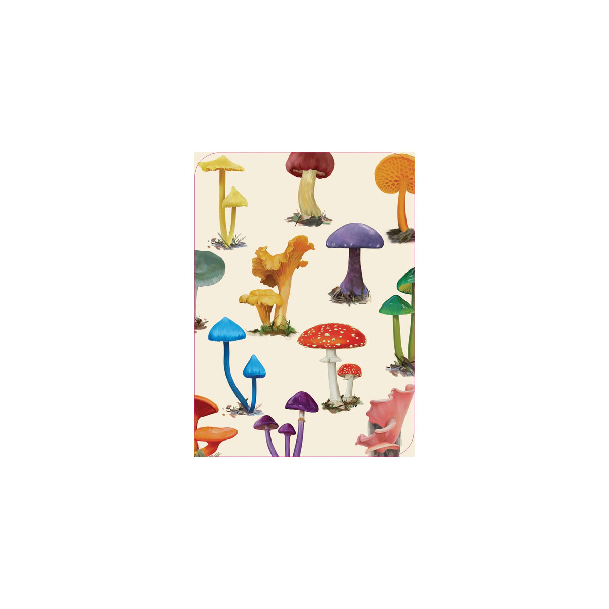 8_Spelu-karsu-kava-Mushrooms-of-the-Wild,-Smith-Street-Gift