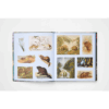 Gramata-the-Sticker-Treasury-of-the-Woodland-Adventures (3)