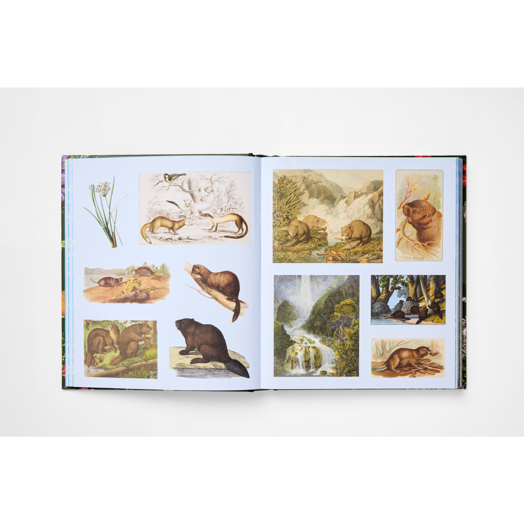 Gramata-the-Sticker-Treasury-of-the-Woodland-Adventures (3)