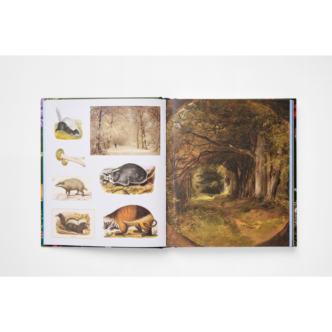 Gramata-the-Sticker-Treasury-of-the-Woodland-Adventures (4)