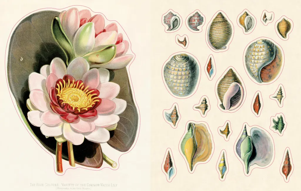 Uzlīmju grāmata John Derian Sticker Book II