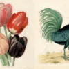 Uzlīmju grāmata John Derian Sticker Book II