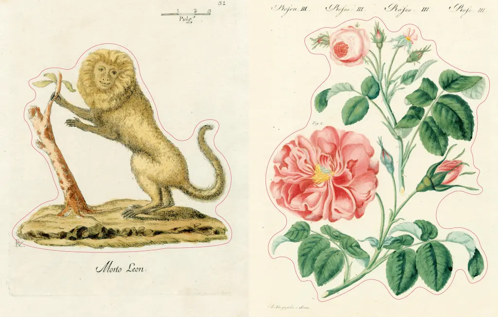 Uzlīmju grāmata John Derian Sticker Book II