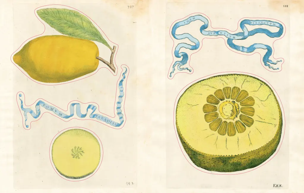 Uzlīmju grāmata John Derian Sticker Book II
