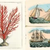 Uzlīmju grāmata John Derian Sticker Book II