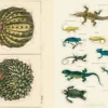 Uzlīmju grāmata John Derian Sticker Book II