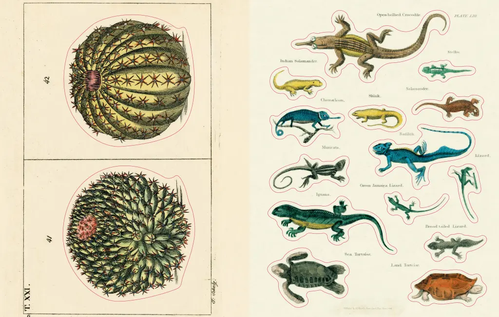 Uzlīmju grāmata John Derian Sticker Book II