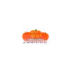 Matu-klipsis-Large-Pumpkin,-Coucou-Suzette