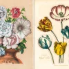 Uzlīmju grāmata John Derian Sticker Book