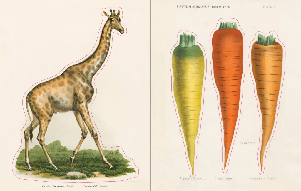 Uzlīmju grāmata John Derian Sticker Book