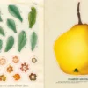 Uzlīmju grāmata John Derian Sticker Book