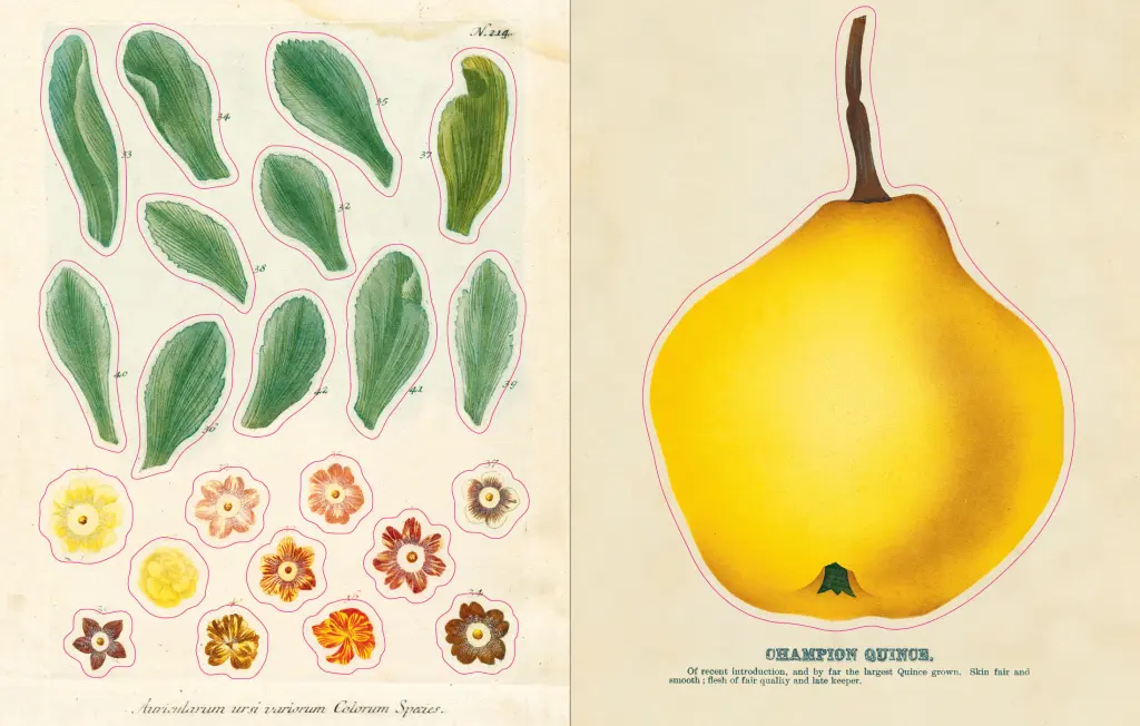 Uzlīmju grāmata John Derian Sticker Book