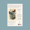 Puzle John Derian Butterflies 750 gab.