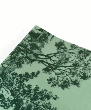 Zīdpapīrs Papel Seda, Vintage Garden, Green, 30 cm x 43 cm